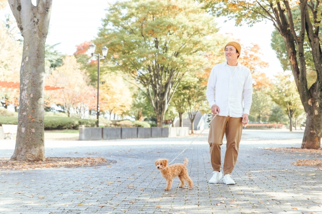 犬の散歩をする男性の写真