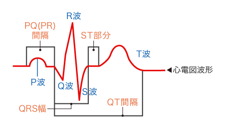 心電図波形のイラスト